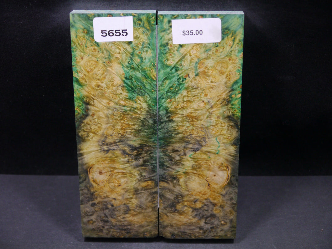 Stabilized Double Dyed Box Elder Scales SW5655