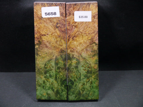 Stabilized Double Dyed Box Elder Scales SW5658