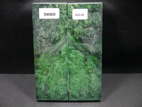 Stabilized Double Dyed Box Elder Scales SW5660