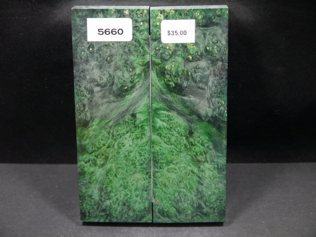Stabilized Double Dyed Box Elder Scales SW5660