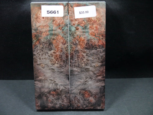 Stabilized Double Dyed Box Elder Scales SW5661