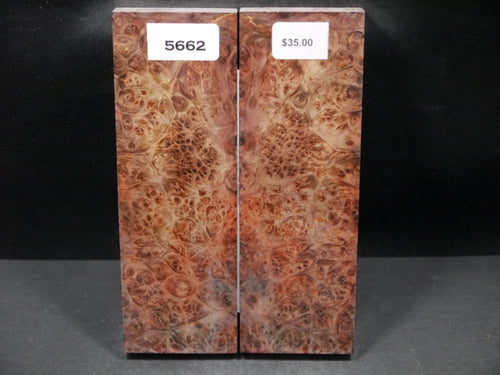 Stabilized Double Dyed Box Elder Scales SW5662