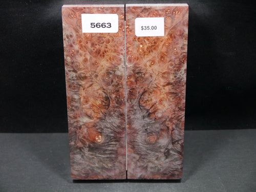 Stabilized Double Dyed Box Elder Scales SW5663