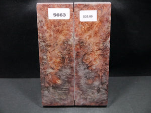 Stabilized Double Dyed Box Elder Scales SW5663