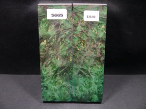 Stabilized Double Dyed Box Elder Scales SW5665