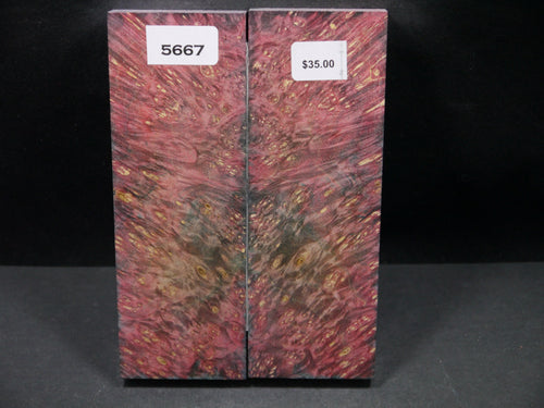 Stabilized Double Dyed Box Elder Scales SW5667