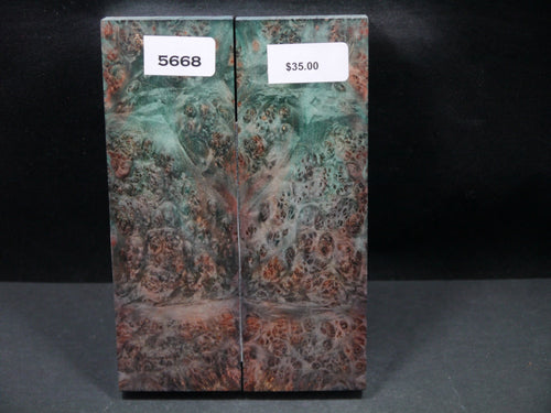 Stabilized Double Dyed Box Elder Scales SW5668