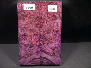 Stabilized Double Dyed Box Elder Scales SW5669