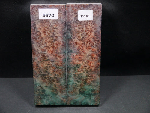 Stabilized Double Dyed Box Elder Scales SW5670
