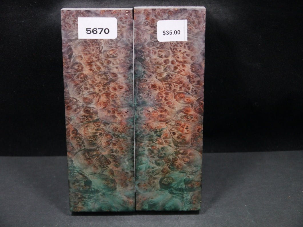 Stabilized Double Dyed Box Elder Scales SW5670