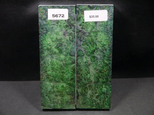 Stabilized Double Dyed Box Elder Scales SW5672