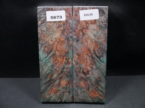 Stabilized Double Dyed Box Elder Scales SW5673