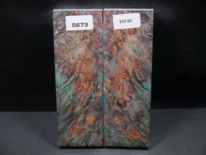 Stabilized Double Dyed Box Elder Scales SW5673