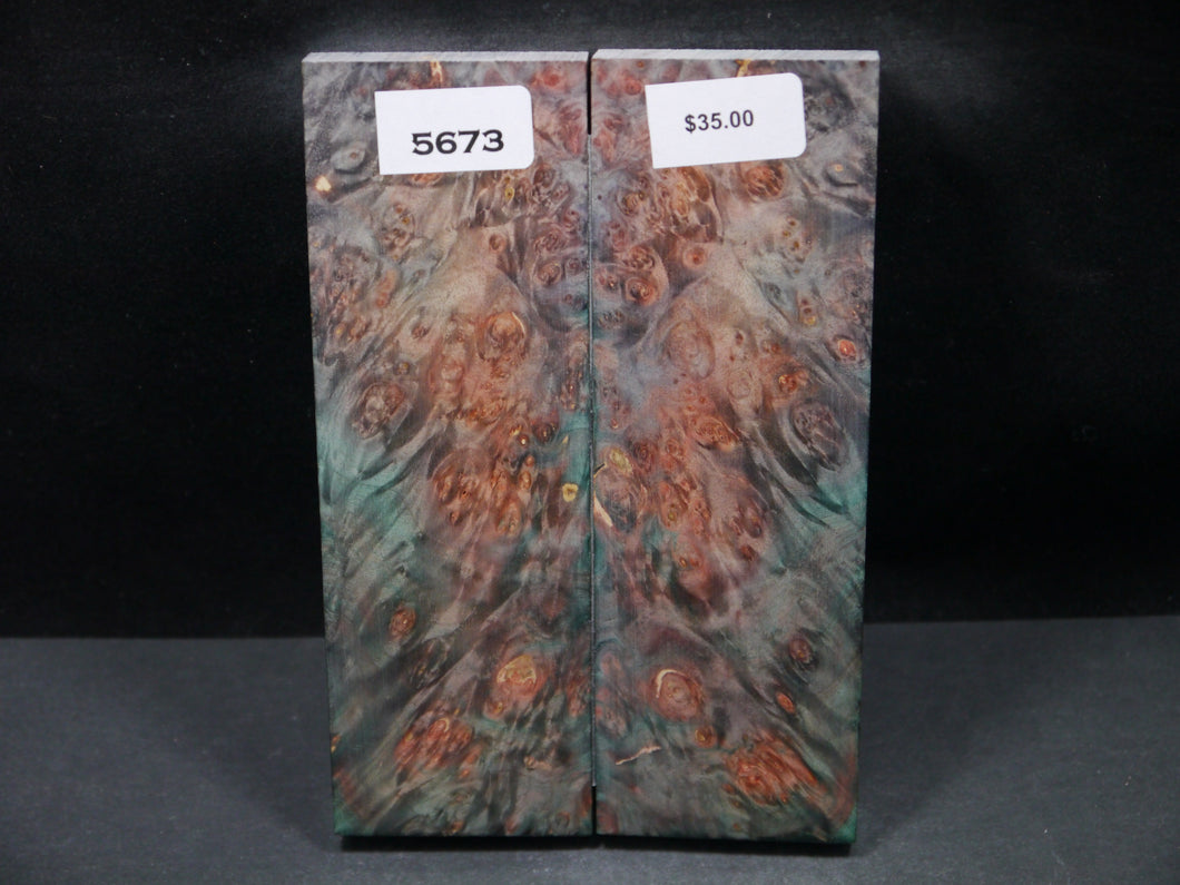 Stabilized Double Dyed Box Elder Scales SW5673