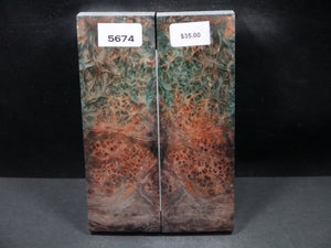 Stabilized Double Dyed Box Elder Scales SW5674
