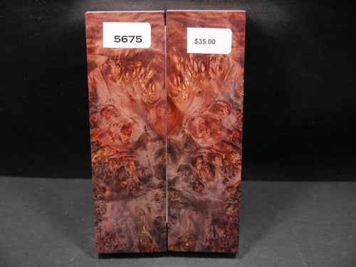 Stabilized Double Dyed Box Elder Scales SW5675