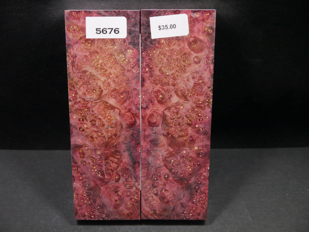 Stabilized Double Dyed Box Elder Scales SW5676