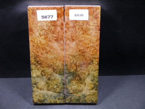 Stabilized Double Dyed Box Elder Scales SW5677