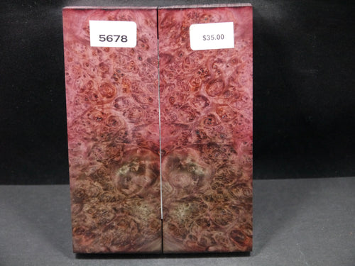 Stabilized Double Dyed Box Elder Scales SW5678