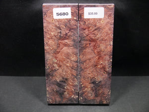 Stabilized Double Dyed Box Elder Scales SW5680