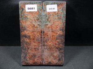 Stabilized Double Dyed Box Elder Scales SW5681