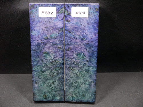 Stabilized Double Dyed Box Elder Scales SW5682