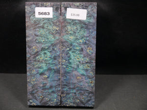 Stabilized Double Dyed Box Elder Scales SW5683