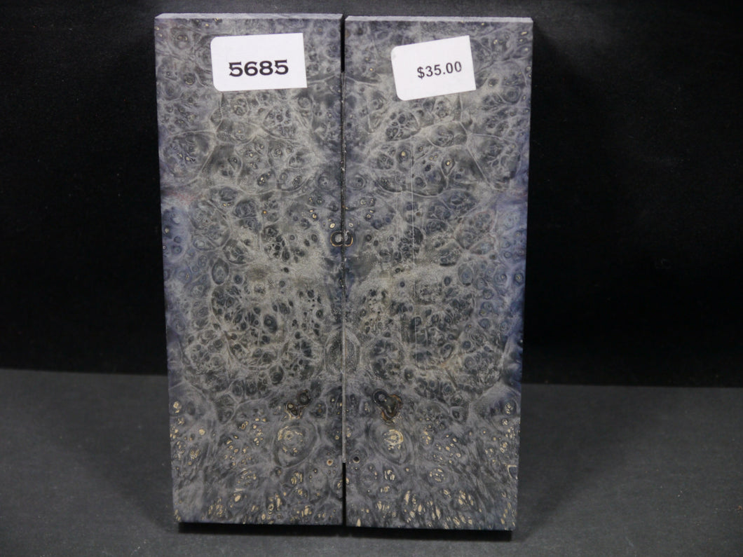 Stabilized Double Dyed Box Elder Scales SW5685