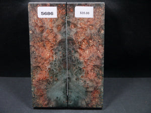 Stabilized Double Dyed Box Elder Scales SW5686