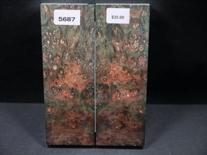Stabilized Double Dyed Box Elder Scales SW5687