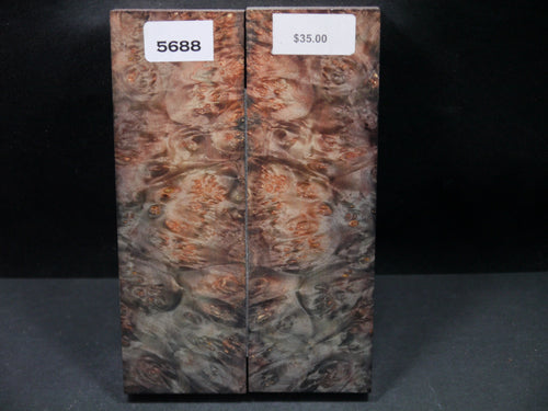 Stabilized Double Dyed Box Elder Scales SW5688