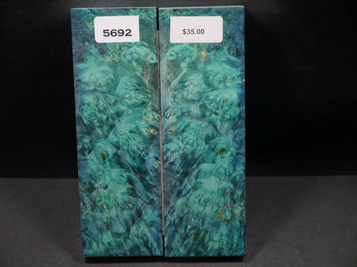 Stabilized Double Dyed Box Elder Scales SW5692