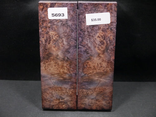 Stabilized Double Dyed Box Elder Scales SW5693