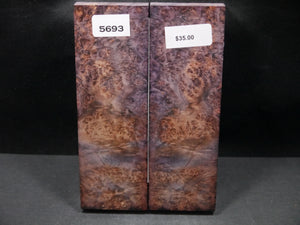 Stabilized Double Dyed Box Elder Scales SW5693
