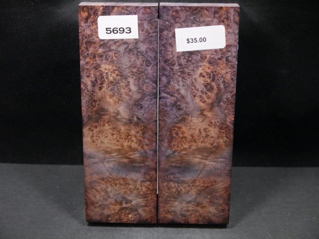 Stabilized Double Dyed Box Elder Scales SW5693