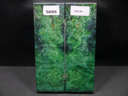 Stabilized Double Dyed Box Elder Scales SW5695