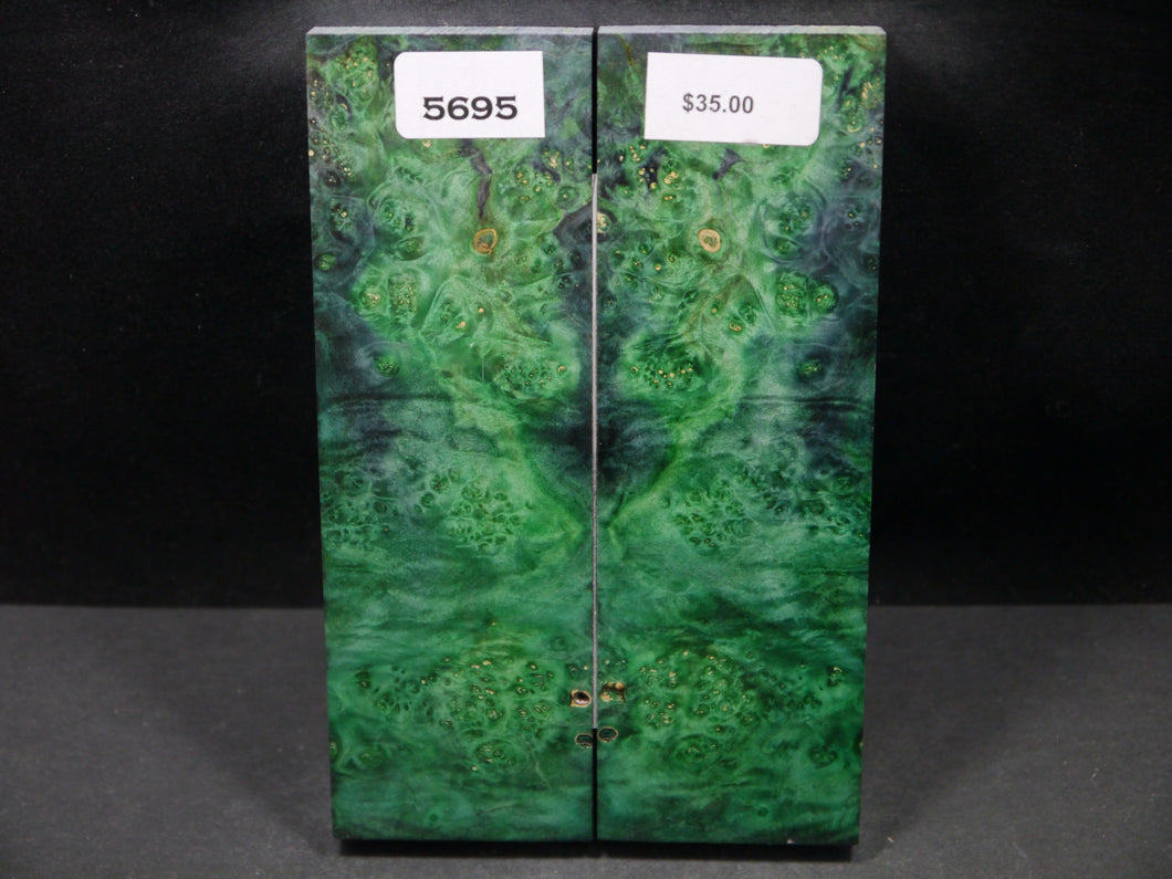 Stabilized Double Dyed Box Elder Scales SW5695