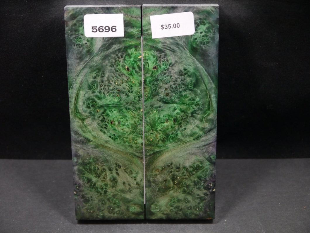 Stabilized Double Dyed Box Elder Scales SW5696