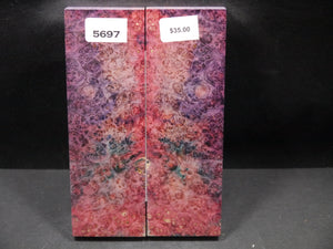 Stabilized Double Dyed Box Elder Scales SW5697