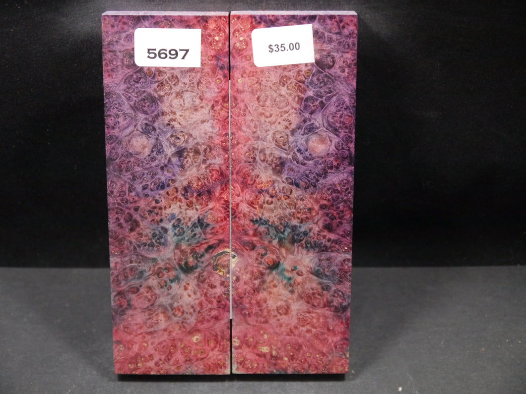 Stabilized Double Dyed Box Elder Scales SW5697