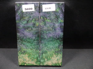 Stabilized Double Dyed Box Elder Scales SW5699