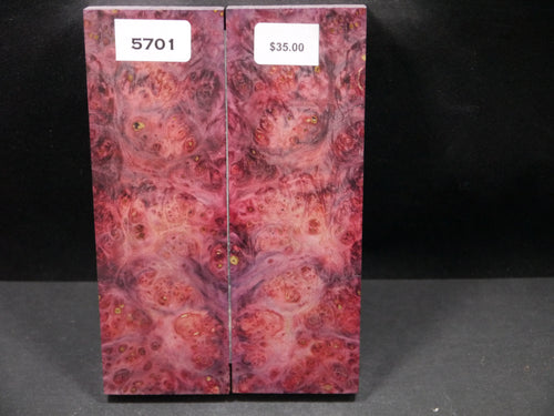 Stabilized Double Dyed Box Elder Scales SW5701
