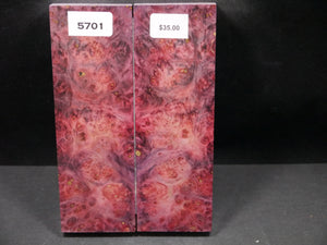 Stabilized Double Dyed Box Elder Scales SW5701