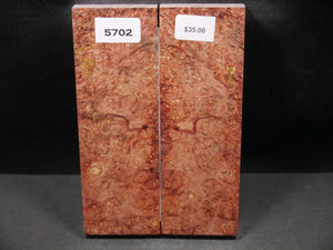 Stabilized Double Dyed Box Elder Scales SW5702