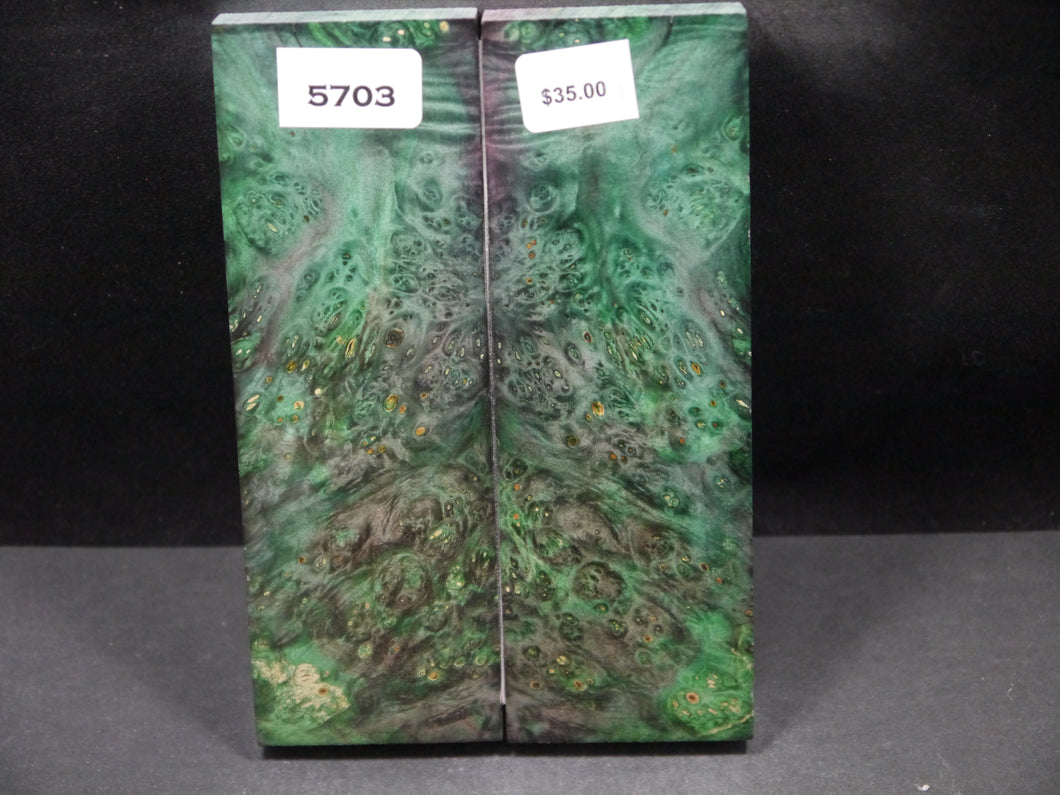 Stabilized Double Dyed Box Elder Scales SW5703