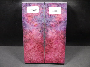 Stabilized Double Dyed Box Elder Scales SW5707