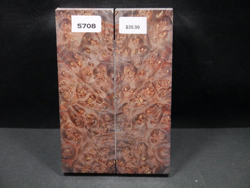 Stabilized Double Dyed Box Elder Scales SW5708