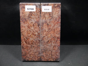 Stabilized Double Dyed Box Elder Scales SW5708