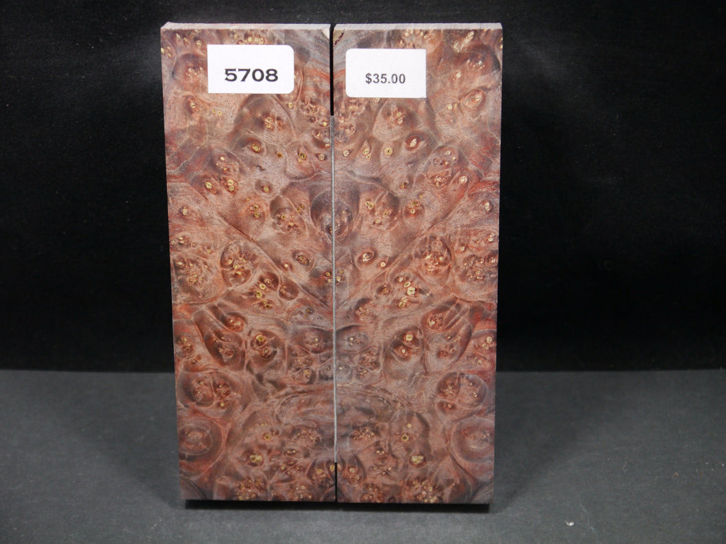 Stabilized Double Dyed Box Elder Scales SW5708
