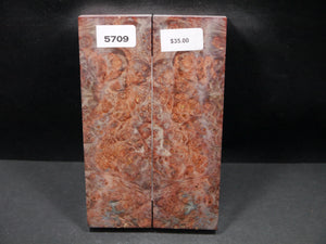 Stabilized Double Dyed Box Elder Scales SW5709